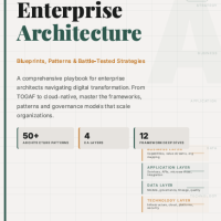 Enterprise Architecture in Practice