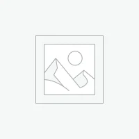 Uncategorized